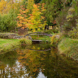 La Casona de Odile Hostel Pond