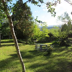 La Casona de Odile Hostel Garden