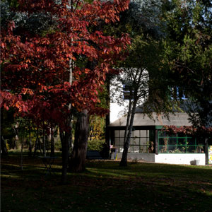 La Casona de Odile Hostel Autumn